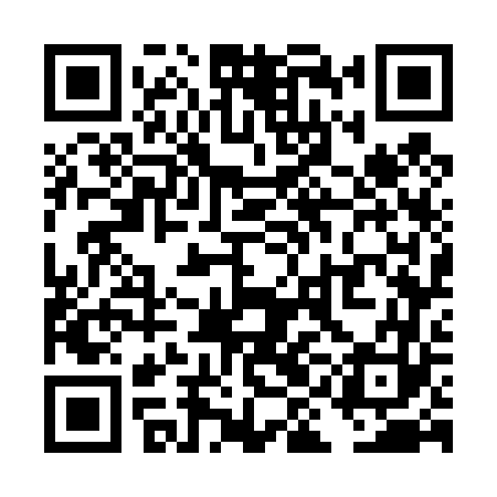 QR code for TIG463