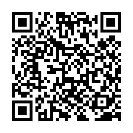 QR code for TII428