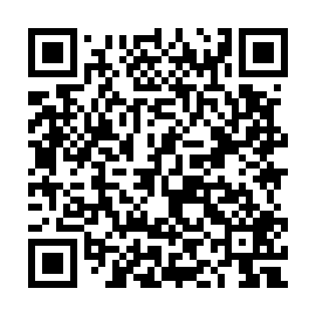 QR code for TII509