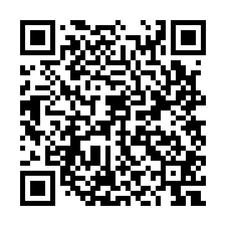 QR code for TIR101