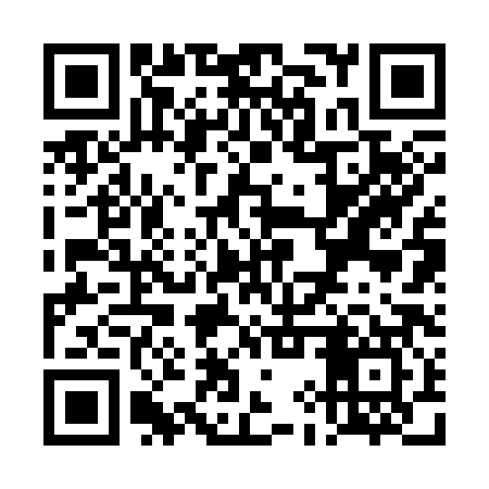 QR code for TIR387