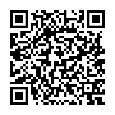 QR code for TL29704