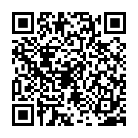 QR code for TM11333