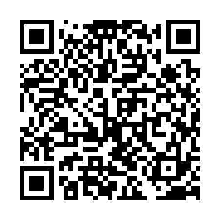 QR code for TMI333