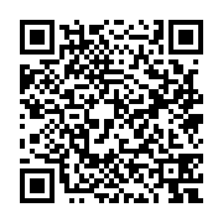 QR code for TN11383