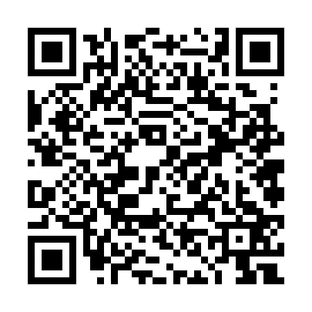 QR code for TN63238