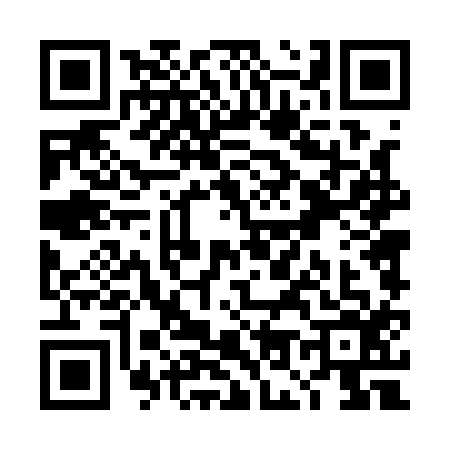QR code for TO41161