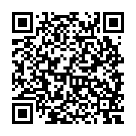 QR code for TON383