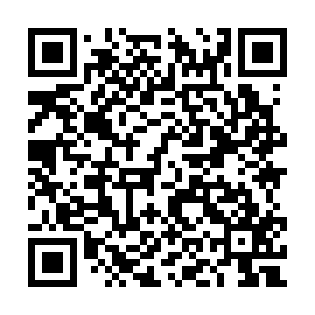 QR code for TOY317