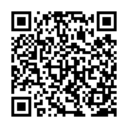 QR code for TOY602