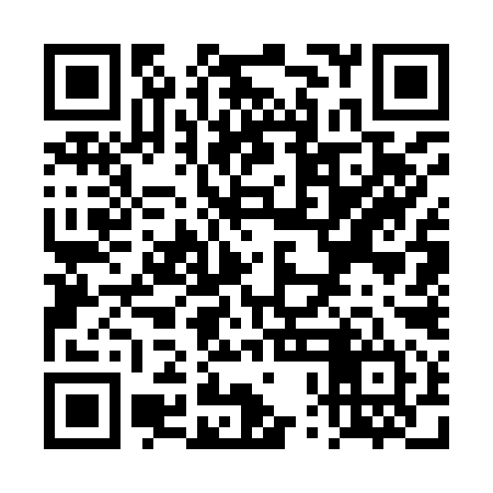 QR code for TPG994
