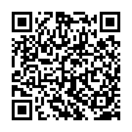 QR code for TPI785