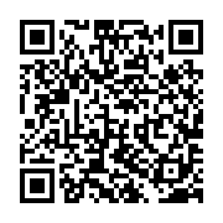 QR code for TPL291