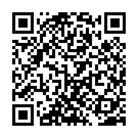 QR code for TQI029