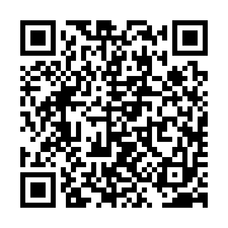 QR code for TS2313