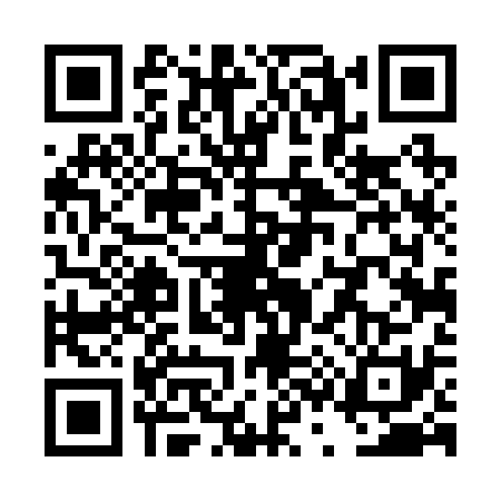 QR code for TS42313