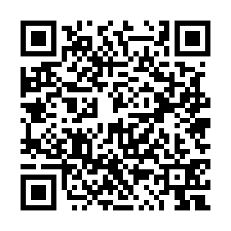 QR code for TS55311