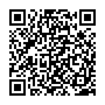 QR code for TS9993
