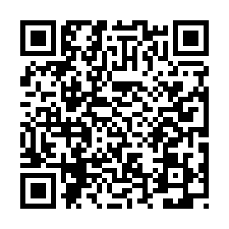 QR code for TT01291