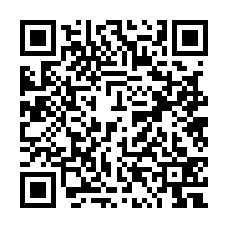 QR code for TT21338