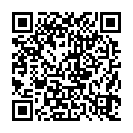QR code for TUR363