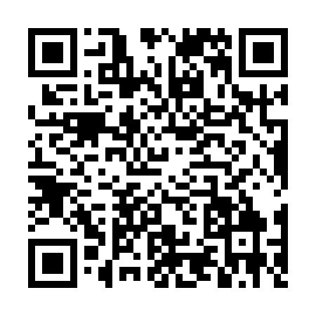 QR code for TZ81691