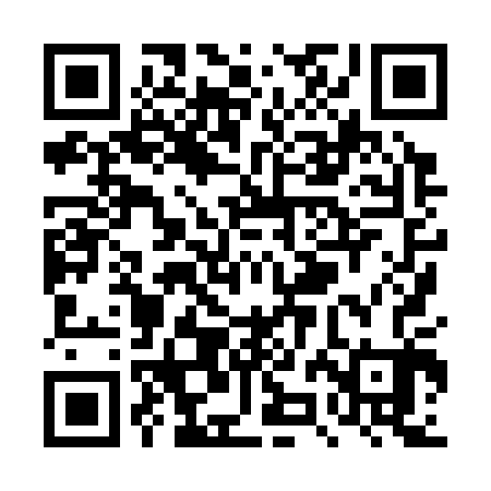 QR code for TZH303