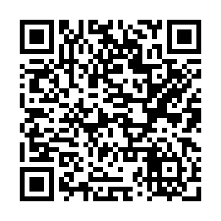 QR code for TZZ384