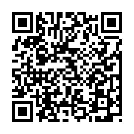 QR code for U063494