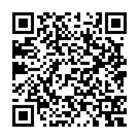QR code for U080346