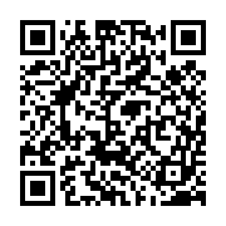 QR code for U11453