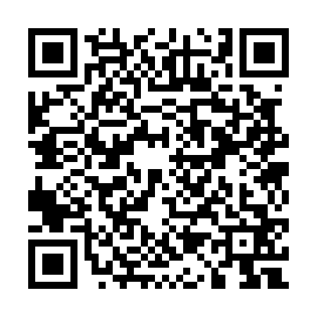 QR code for U130629