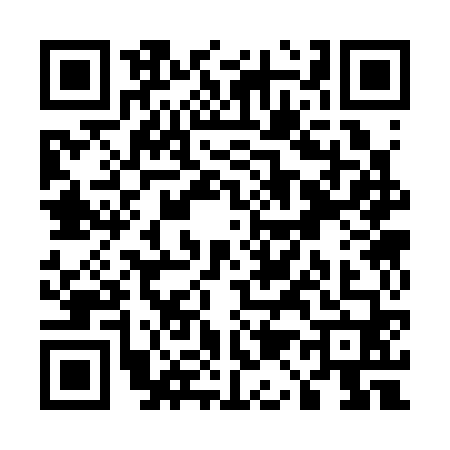 QR code for U133603