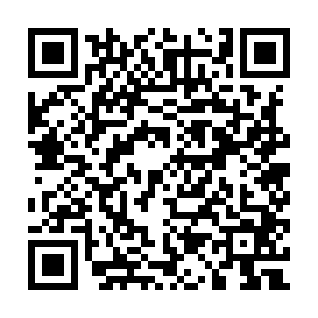 QR code for U179441