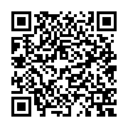QR code for U207363