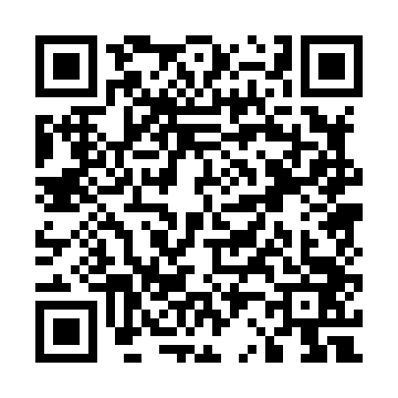 QR code for U208433