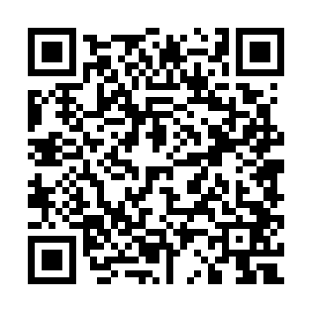 QR code for U247423