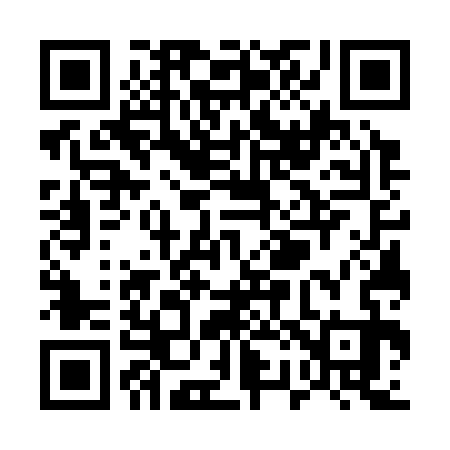 QR code for U27333