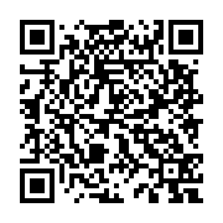 QR code for U28533