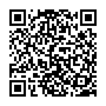 QR code for U29369