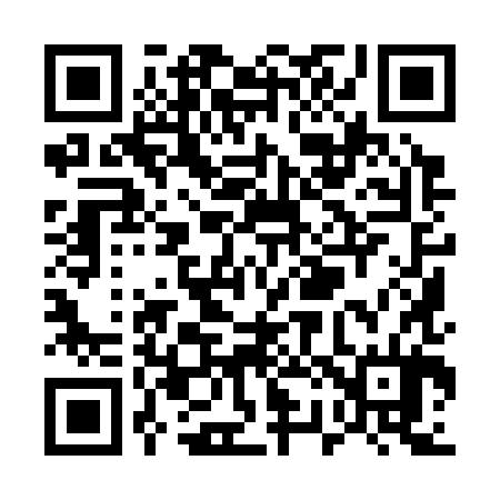 QR code for U29384
