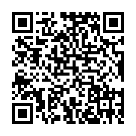 QR code for U295111