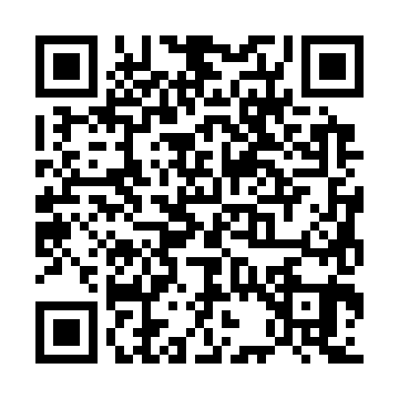 QR code for U333819