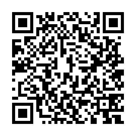 QR code for U375787