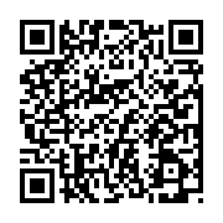 QR code for U378051
