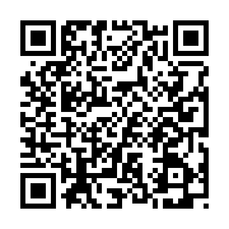 QR code for U383754