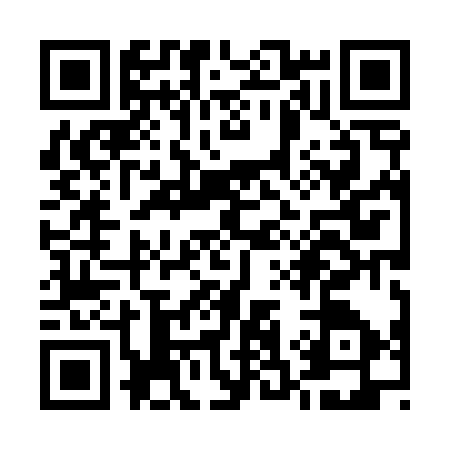 QR code for U384376