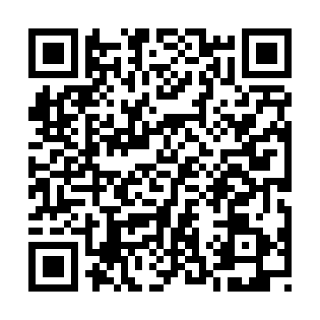 QR code for U384719