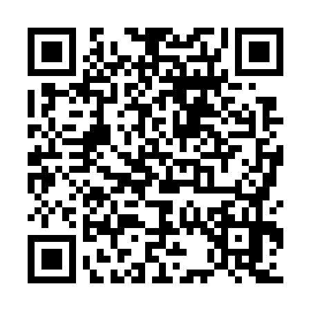 QR code for U387742