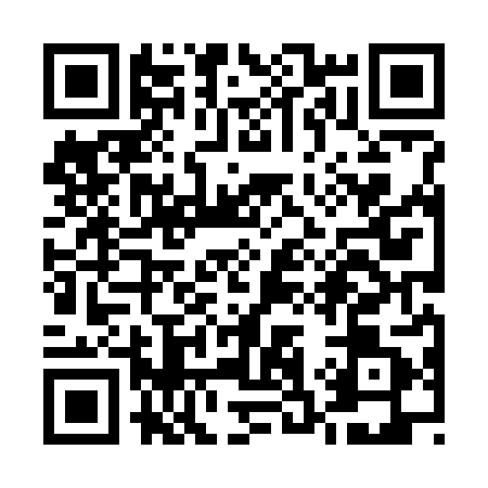 QR code for U387812